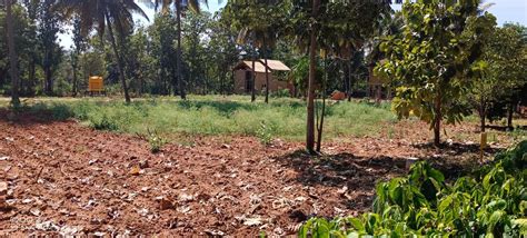 Gallery - Krushika : A Farming Community