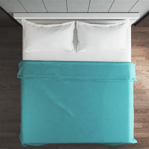 Buy Spinel Flannel Double Blanket from Home Centre at just INR 699.0