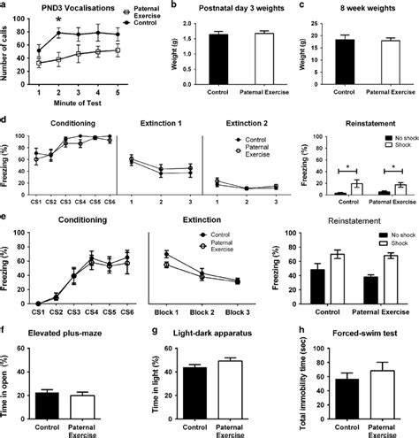 Paternal Exercise 的图像结果