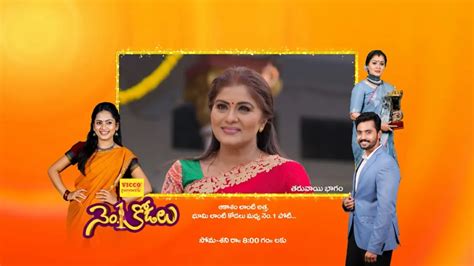 No.1 Kodalu TV Serial - Watch No.1 Kodalu Online All Episodes (1-735 ...