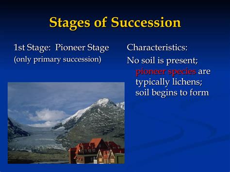Image result for Example of Succession