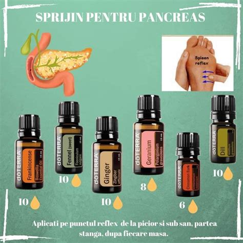 Pin by Adriana Romero on Mezclas | Doterra oils, Doterra essential oils recipes, Essential oil ...