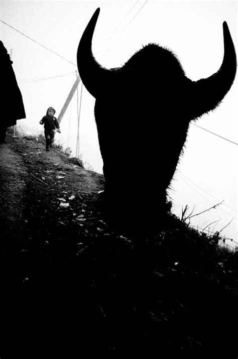 Image result for Diagonal Composition