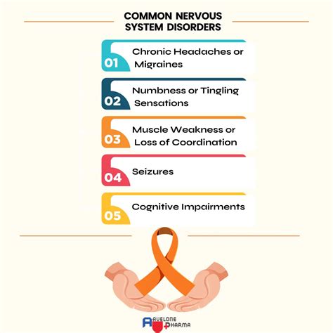 Improve Nervous System Health for Better Mental Well-being