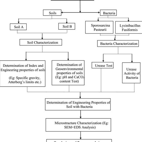 Image result for Research Methods Flow Chart