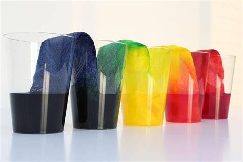 Easy Rainbow Walking Water Science Experiment For Kids - In The Playroom