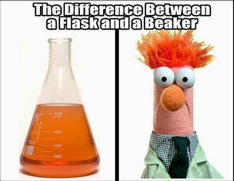 Beaker Vs Flask Uses at Alica Martel blog