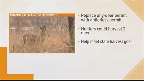Maine's antlerless deer permit lottery expected to open in June ...