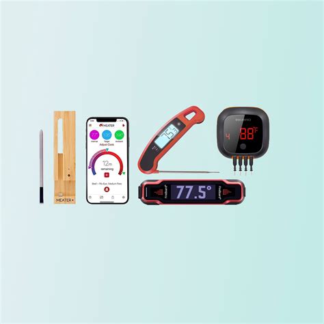 Image result for Meat thermometer Cooking Tips