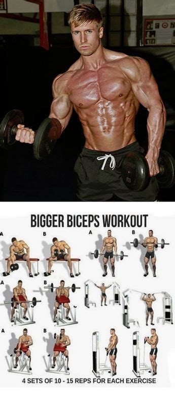 Programme Biceps 的图像结果