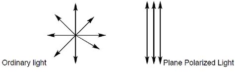 PostScript Examples 的图像结果