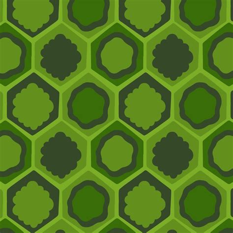 Image result for Turtle Shell Bind