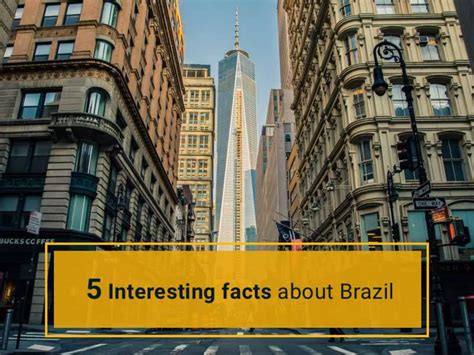Fun Brazil Facts