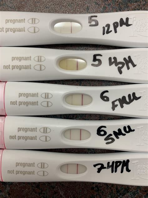 5 dpo pregnancy test - Captions Domestic