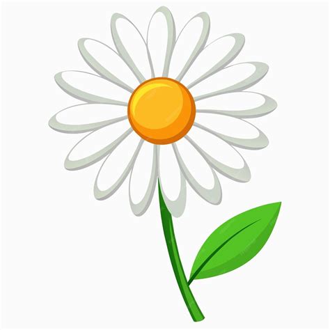 Un dessin d'une marguerite avec une tige verte et une feuille | Vecteur ...