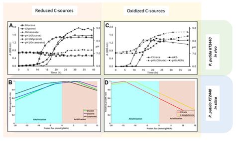 Carbon Source Influence on Extracellular pH Changes along Bacterial ...