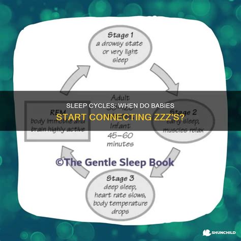 Sleep Cycles: When Do Babies Start Connecting Zzz's? | ShunChild