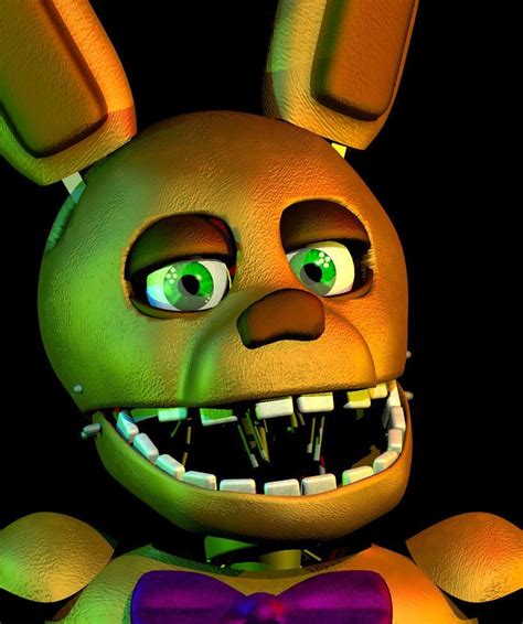 Image result for Spring Bonnie Song
