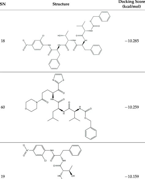 Image result for Docking Score