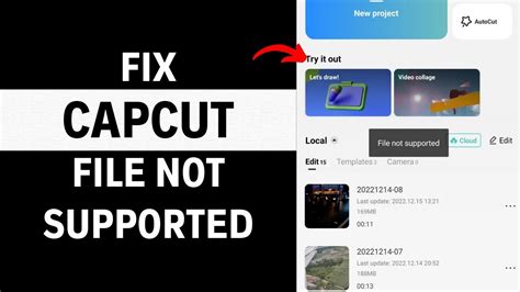 File Not Supported Cap Cut 的图像结果