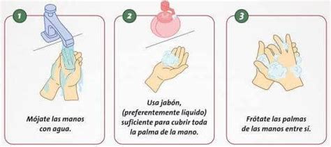 Pasos del lavado de manos en la cocina | Tu canal de salud