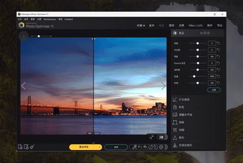 Ashampoo Colorizer 的图像结果