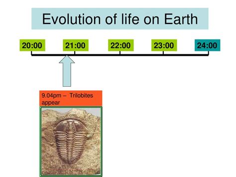 Evolution of Life Chart 的图像结果