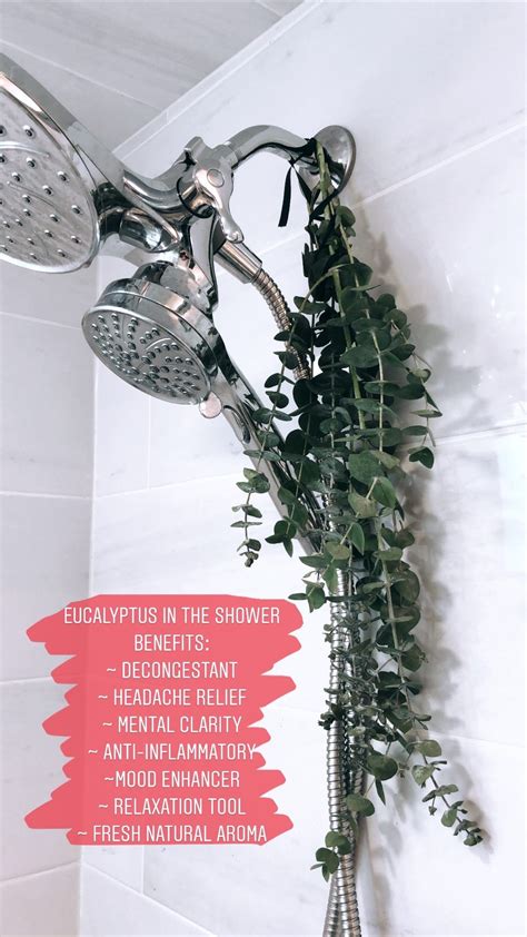 Formidable Fresh Eucalyptus In Shower Benefits Faux Hanging Plants ...