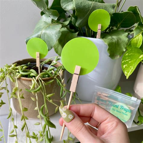 Image result for Scrap Trap Clips