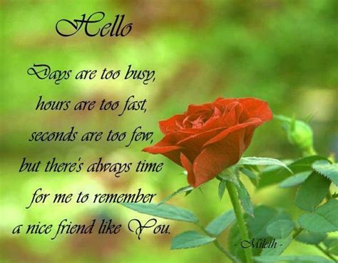 Image result for Hello Friends Quotes