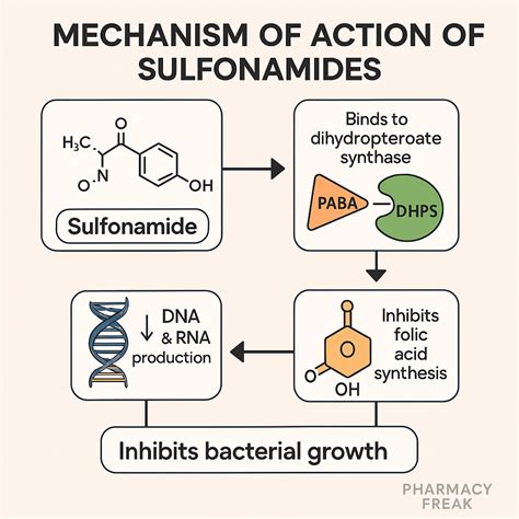Mechanism of Action of Sulfonamides