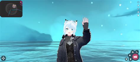 Image result for Vseeface Hand Tracking