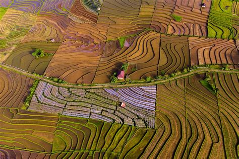 Plantio em Curva de Nível ajuda a aproveitar a terra: entenda a ...
