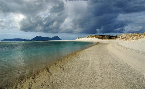 Image result for Arima Models Plot