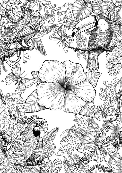 Detailed Picture Coloring Page - Detailed Picture00 detailed coloring pages free