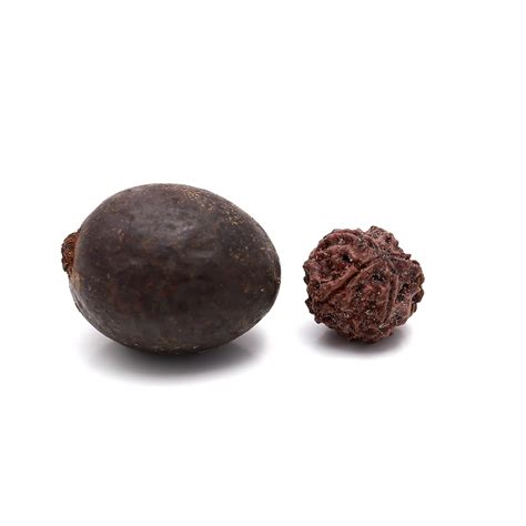 Buy Raw Rudraksha Fruit (Original Untreated) Natural Brown Rudraksh ...