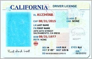 Image result for Examination Module