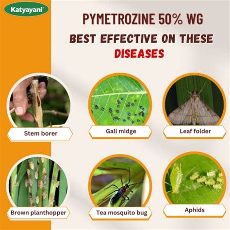 Katyayani BPH सुपर पायमेट्रोज़ीन 50% WG प्रणालीगत कीटनाशक चावल के पौधे ...