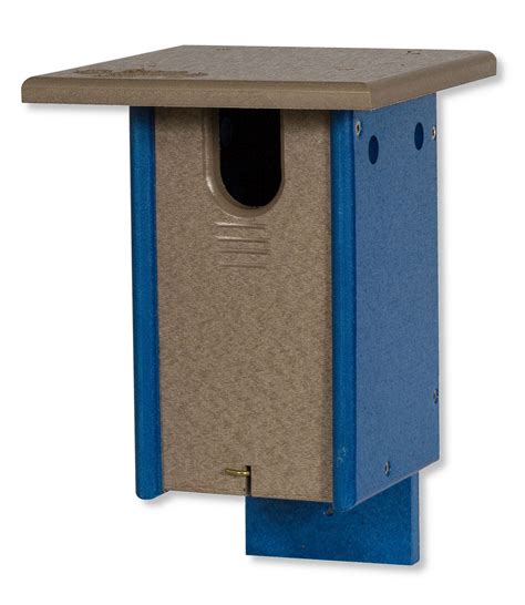 Bluebird House Hole Size
