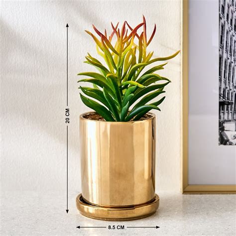 Buy Fiesta Gloria Artificial Succulent in Ceramic Pot from Home Centre ...