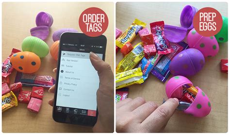 DTI Egg Hunt Tutorial 的图像结果