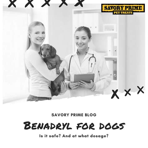Benadryl for Dogs: Is it safe? And at what dosage? - Savory Prime Pet ...