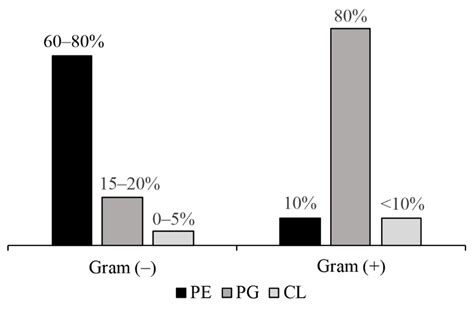 How to Combat Gram-Negative Bacteria Using Antimicrobial Peptides: A ...