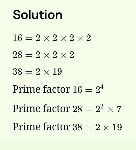 Write the prime factorization of 16, 28, 38. - Brainly.in