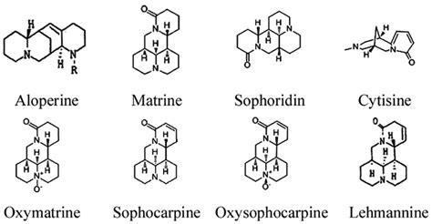 Image result for Structure Elemints