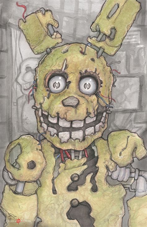 Image result for Spring Trap Draw