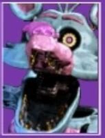 Image result for What Is Spring Foxy Main Colors