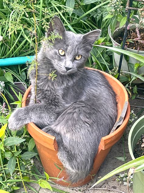 Winning numbers drawn in Wednesday’s Delaware Play 3 Night