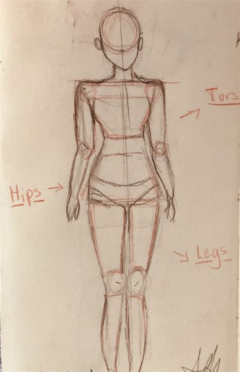 Image result for Body Guide Box Drawing