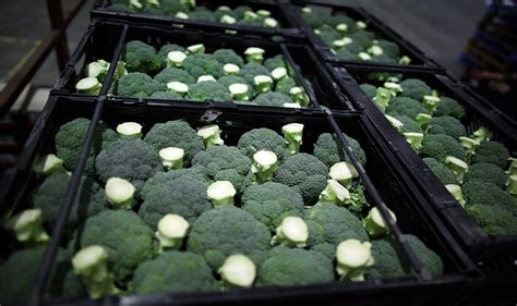 Foods to eat during Periods: Best and healthy foods to fight PMS and ...